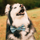 Blue Cocktails Bow Tie