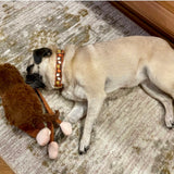 Brown Buffalo Check Fall Leaves Dog Collar