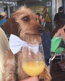 Blue Seersucker Bow Tie