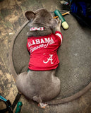 Grey Elephant Dog Collar