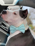 Aqua Gingham Bow Tie