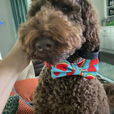 Blue Watermelon Bow Tie