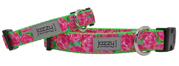 First Impression Dog Collar