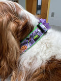 Pumpkins, Ghosts, Oh My! Dog Collar