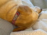 Houndstooth Elephant Dog Collar