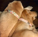 Flamingo Crown Dog Collar