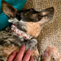 Ornament Reindeer Antlers Dog Collar