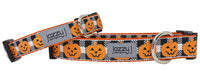 Buffalo Check Jack O Lantern Dog Collar