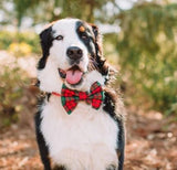 Metallic Plaid Holiday Bow Tie