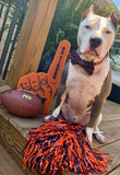 Sweet Home Auburn Dog Collar