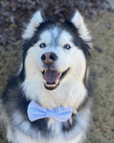 Blue Seersucker Bow Tie