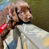 Red & White Striped Dog Collar