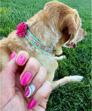 Glitter Chevron Watermelon Dog Collar