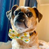 Ivory Pineapple Bow Tie