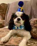 Blue Geometric Bow Tie