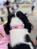 Pink Gingham Dog Collar