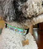 Kissy Blowfish Dog Collar