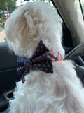 Orange Auburn Plaid Dog Collar