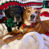 Metallic Plaid Holiday Bow Tie