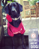 Houndstooth Dog Collar