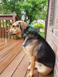 Blue Pineapple Dog Collar