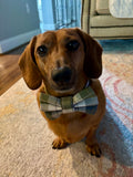 Olive Plaid Bow Tie