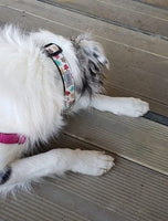 Ivory Glitter Leaves Dog Collar