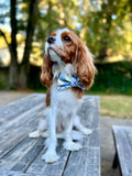 Perfect Plaid Bow Tie