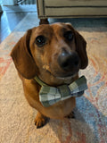 Olive Plaid Bow Tie