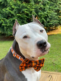 Buffalo Check Jack O Lantern Dog Collar