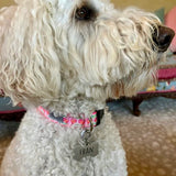 Pink Kissy Flamingo Dog Collar