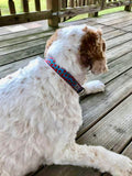 Blue Watermelon Dog Collar
