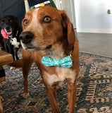 Aqua Trellis Bow Tie