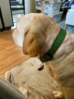 Green and Red Trellis Dog Collar