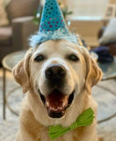 Lime Green Striped Bow Tie