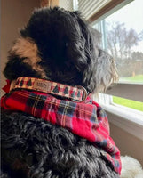 Cranberry Buffalo Check Christmas Trees Dog Collar
