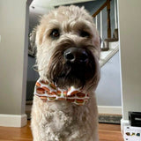 Hamburger Bow Tie