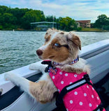 Buffalo Check Glitter Stars Dog Collar