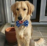 Royal Blue Trellis Bow Tie