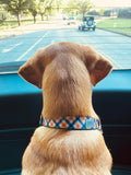Navy Auburn Plaid Dog Collar