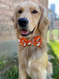 Orange Ghost Bow Tie