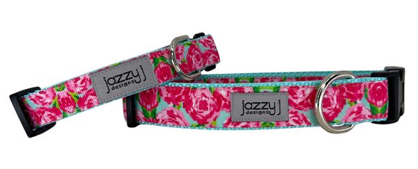 First Impression on Aqua Dog Collar