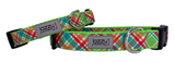 Prepster Plaid on Lime Dog Collar