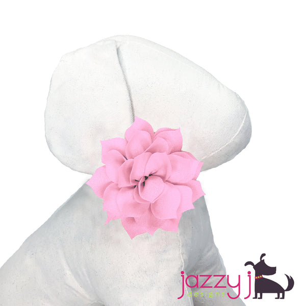 Baby Pink Lotus Flower