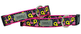 Black Pool Floaties Dog Collar