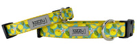 Blue Lemons Dog Collar