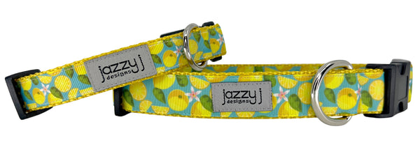 Blue Lemons Dog Collar