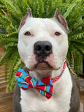 Blue Watermelon Bow Tie