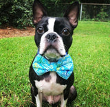 Blue Chandelier Bow Tie