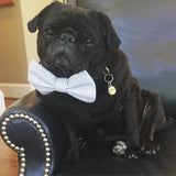 Blue Seersucker Bow Tie